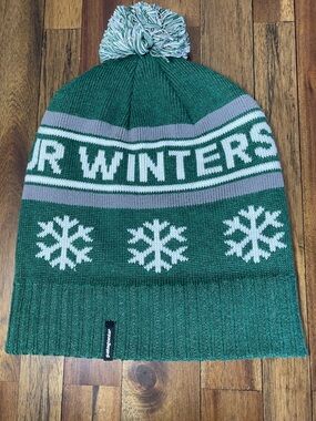 Patagonia “Protect Our Winters”Green and Gray Pom Knit Beanie